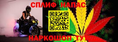 индика Балашиха