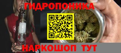 кокс Берёзовский