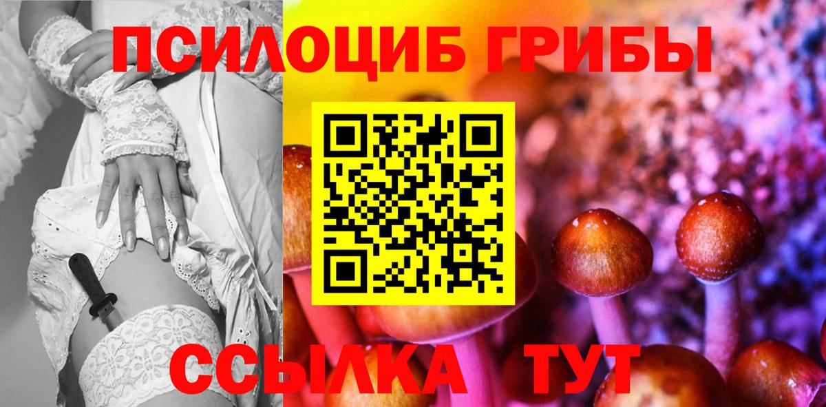 Будённовск  Галлюциногенные грибы Magic Shrooms  Вход с VPN 