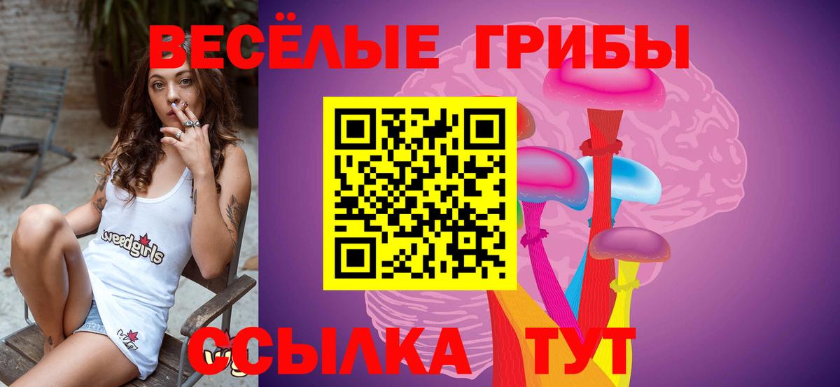 Псилоцибиновые грибы Cubensis Будённовск